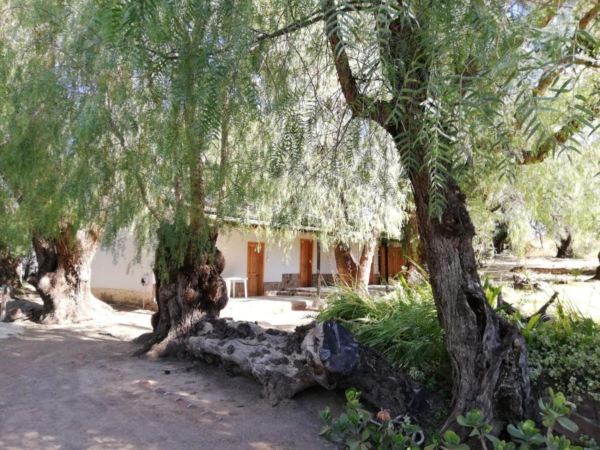 Готель Doornfontein Guest Farm Кредок Екстер'єр фото